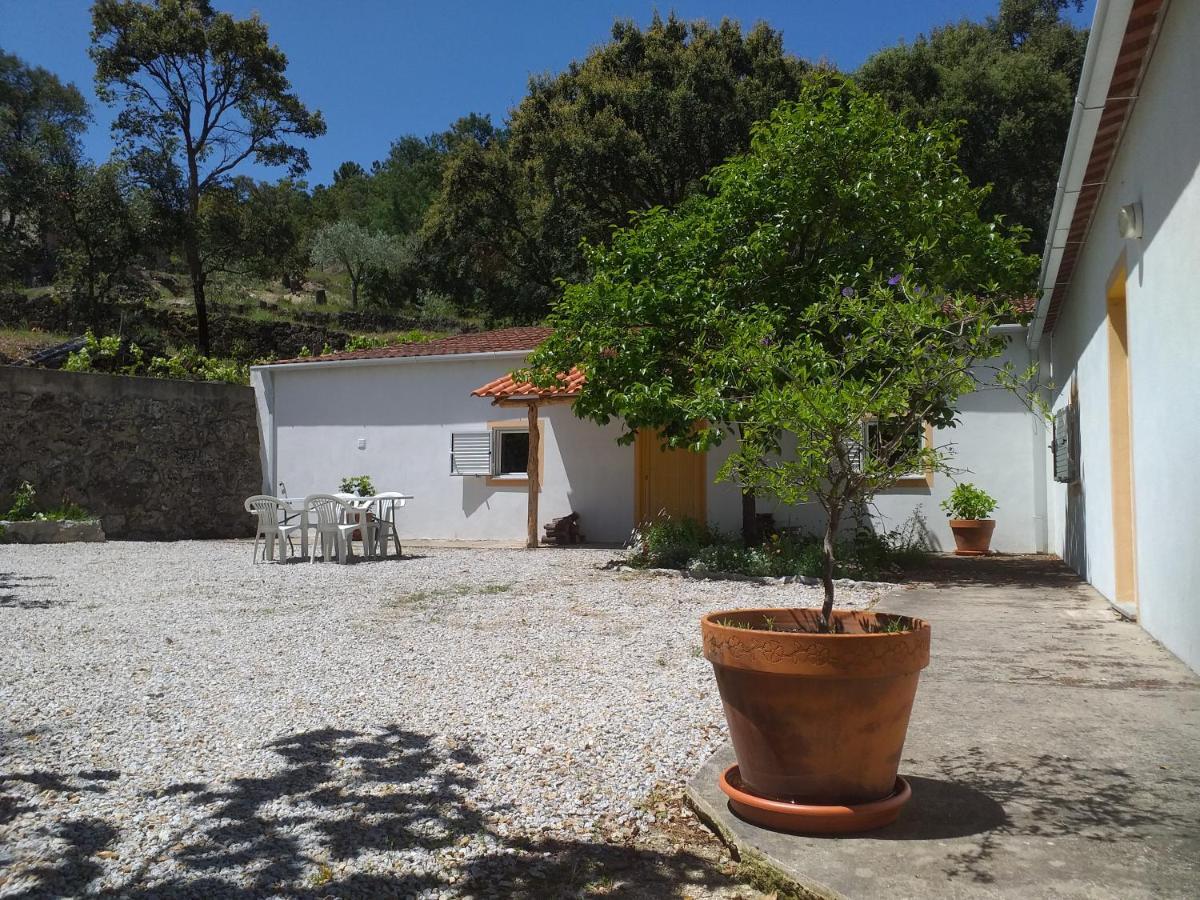 Pensjonat Quinta Da Barroquinha Vale de Prazeres Zewnętrze zdjęcie